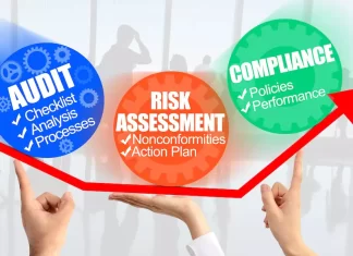 The Pros and Cons of Pursuing a Career as an Auditor