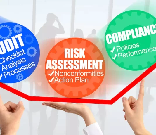 The Pros and Cons of Pursuing a Career as an Auditor