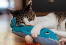 Staying Ahead of the Competition: Strategies for Modern Businesses