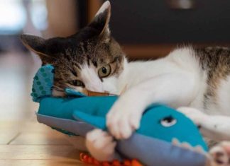 Staying Ahead of the Competition: Strategies for Modern Businesses