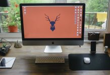 From Chaos to Clarity: 6 Home Office Essentials for an Organized and Productive Space.