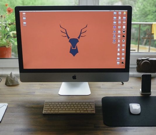 From Chaos to Clarity: 6 Home Office Essentials for an Organized and Productive Space.