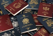 5 Countries with Attractive Citizenship by Investment Programs for Entrepreneurs and Investors