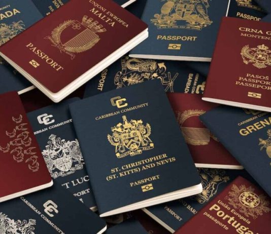 5 Countries with Attractive Citizenship by Investment Programs for Entrepreneurs and Investors