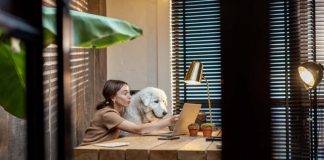 The Importance of Having a Dedicated Business Number for Your Company