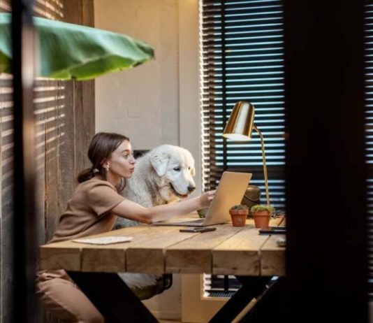 The Importance of Having a Dedicated Business Number for Your Company